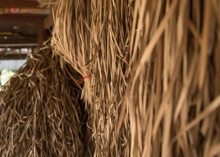 Kwatera prywatna Chansor 13 By Homesteading