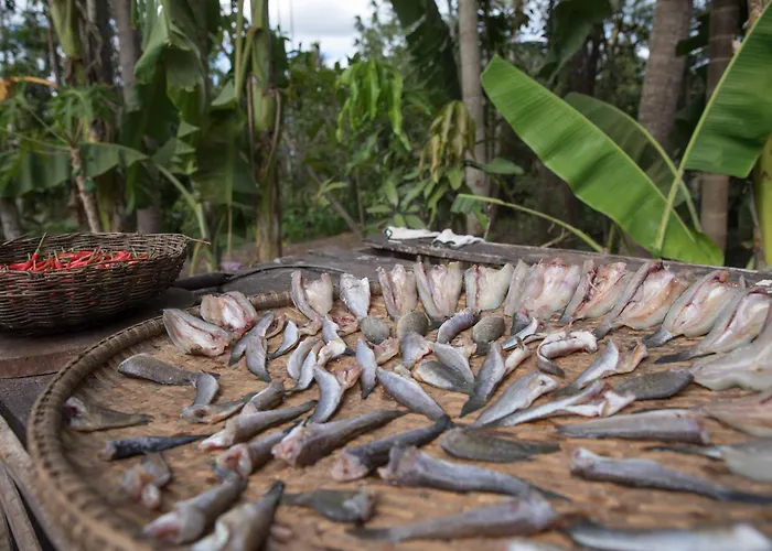 Kwatera prywatna Chansor 13 By Homesteading Siem Reap