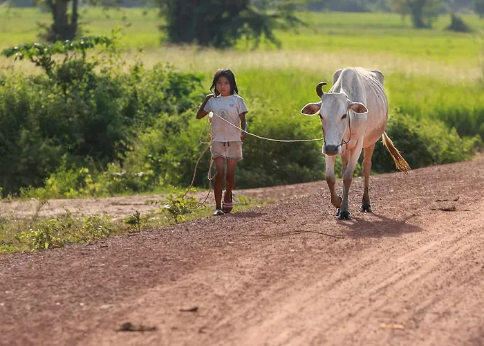 Kwatera prywatna Chansor 13 By Homesteading Siem Reap