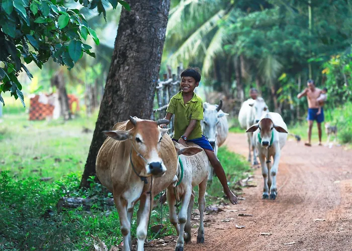 Kwatera prywatna Chansor 13 By Homesteading Siem Reap