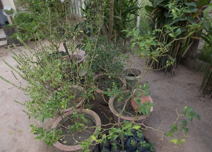 Kwatera prywatna Chansor 13 By Homesteading *