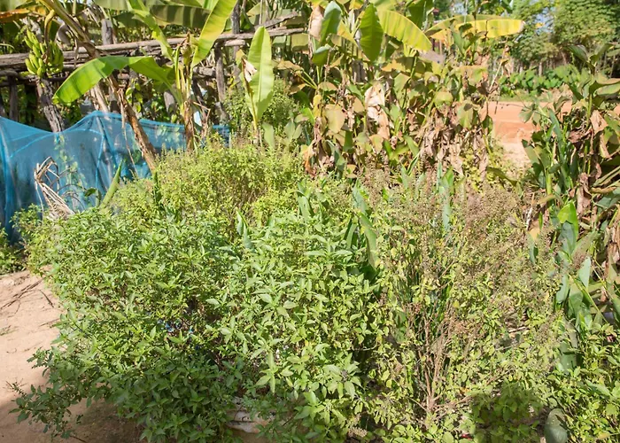 Kwatera prywatna Chansor 13 By Homesteading Siem Reap